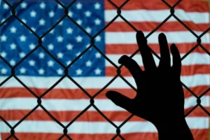 Ventura U visa attorney