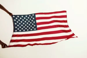 US Immigration
