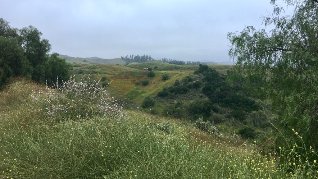 Moorpark